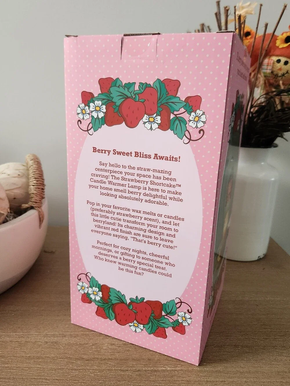Strawberry Shortcake Candle Warmer Lamp Timer Glass Shade NWT 60W New In Box